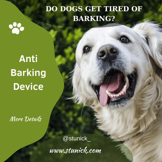 Do Dogs Get Tired of Barking?