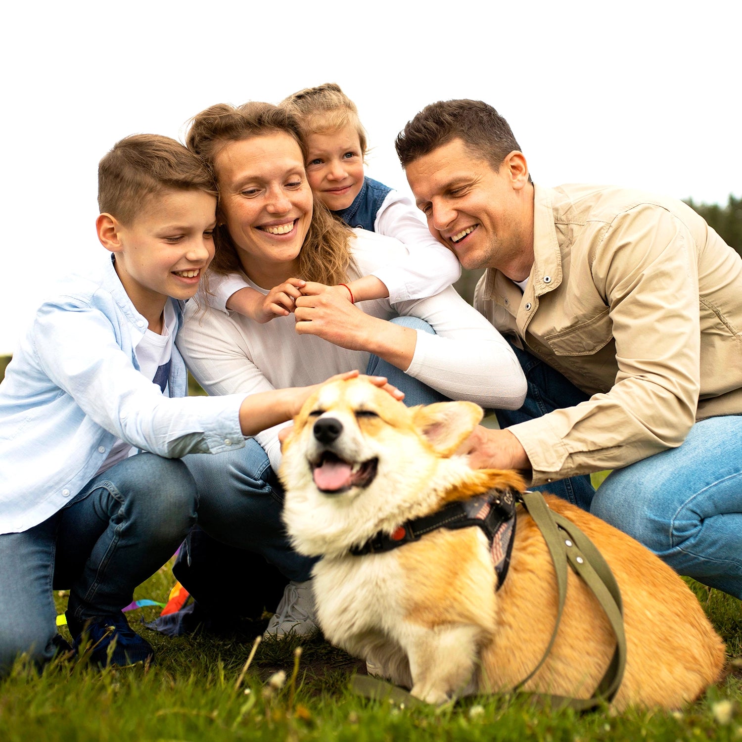 dog barking device