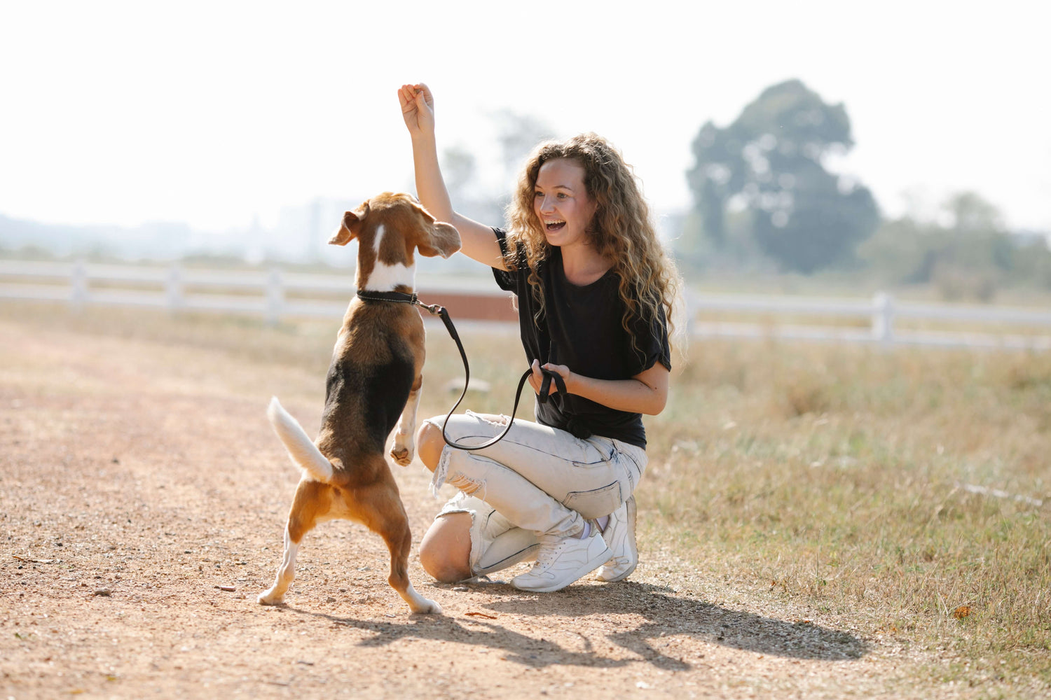 dog barking stopper