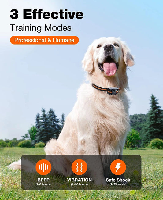 What is dog training device