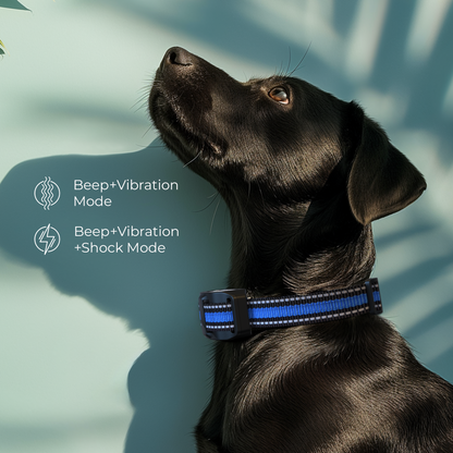 STÙNICK SC2 Rechargeable Dog Bark Collar