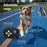 STÙNICK SB2 Anti Barking Device